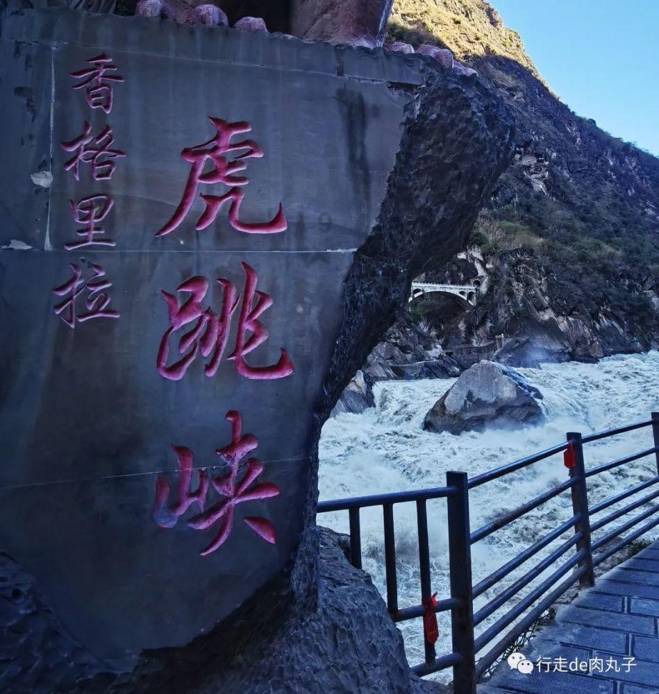 小猫钓鱼正版下载中文版