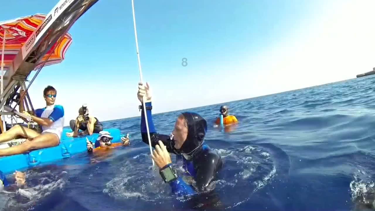 白孔雀救援