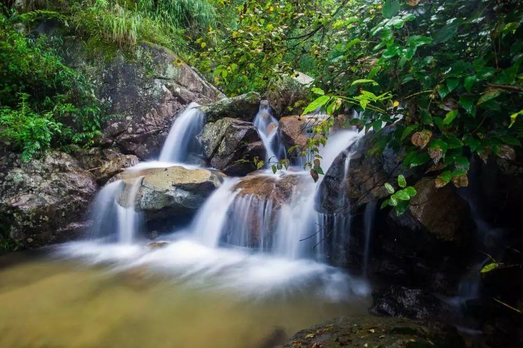 逃离阴森的岛屿